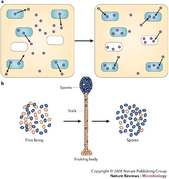 Microorganisms, Free Full-Text