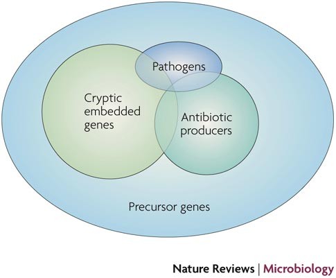 The Antibiotic Resistome: A Guide for the Discovery of Natural