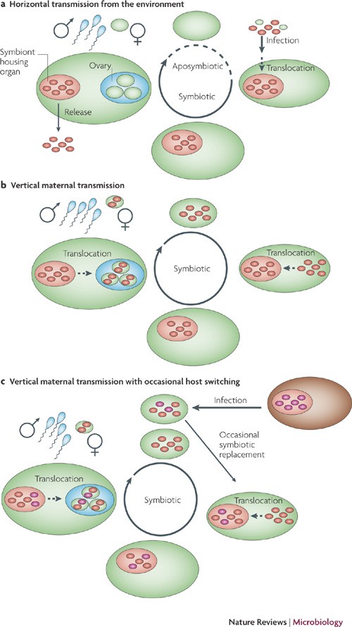 A complex journey: transmission of microbial symbionts