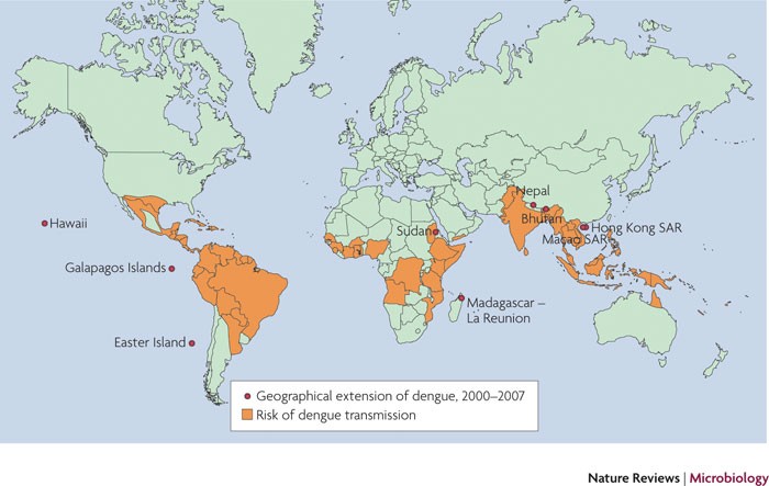 Dengue: global threat | Nature Reviews Microbiology