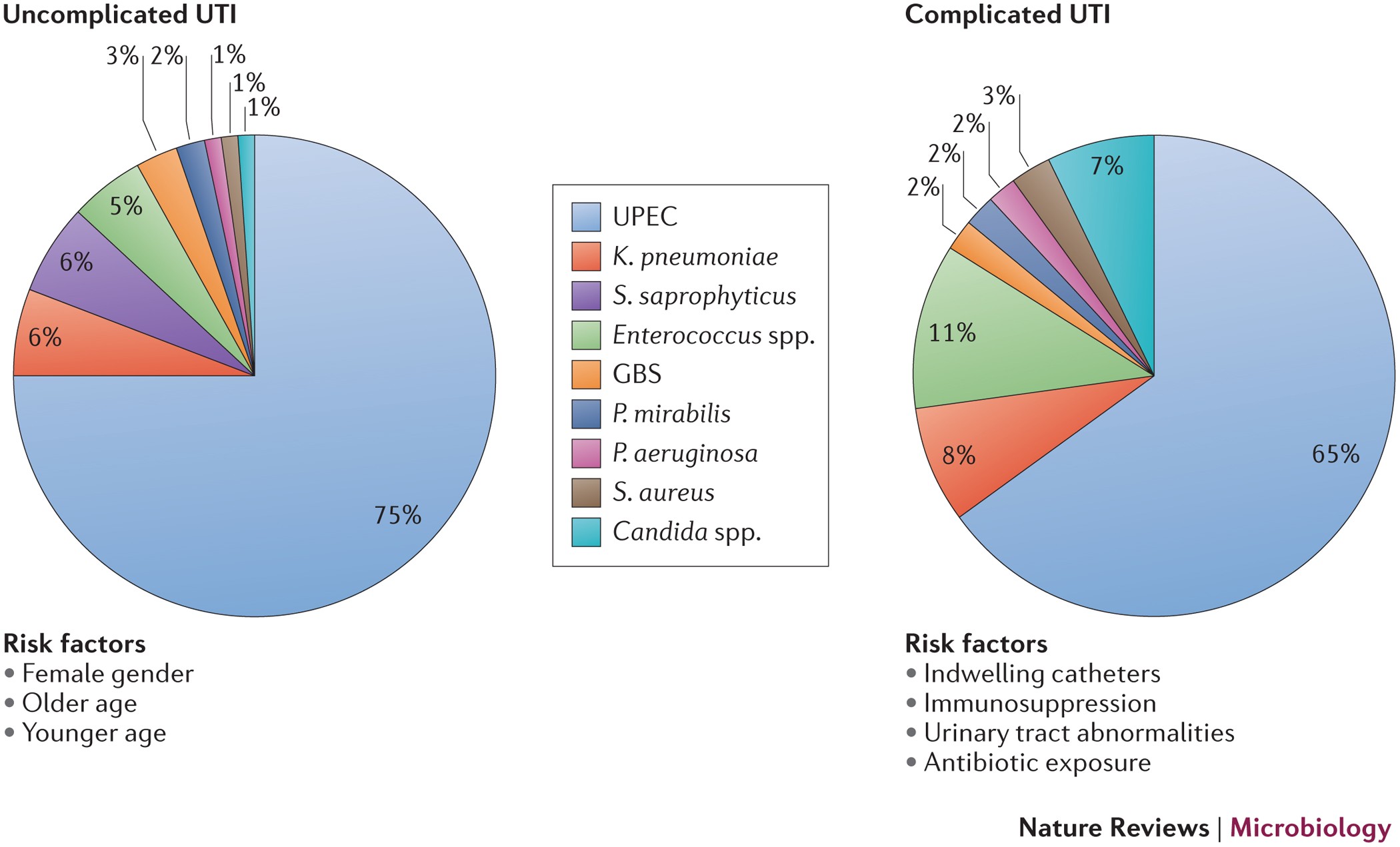 Urinary tract infections: epidemiology, mechanisms of infection