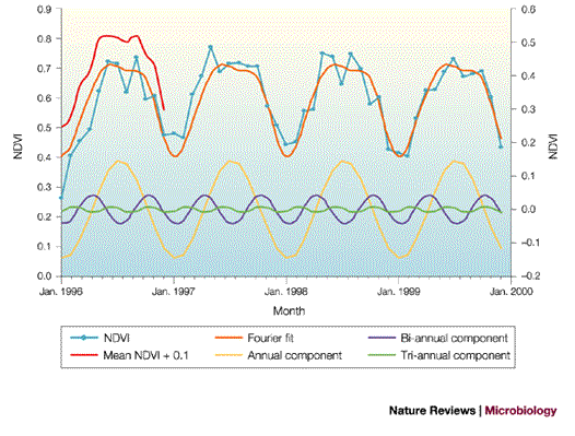 Studying The Global Distribution Of Infectious Diseases - 