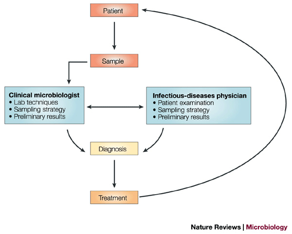 What does the future hold for clinical microbiology? | Nature Reviews  Microbiology