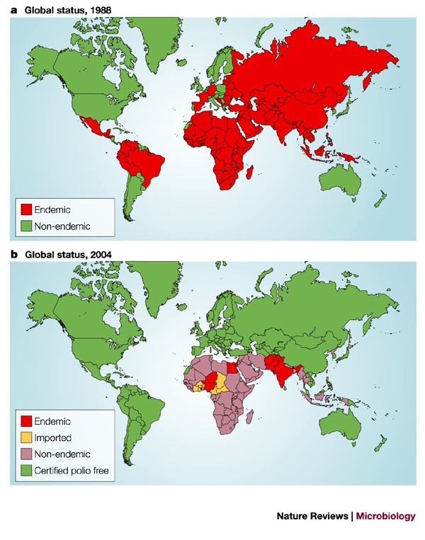 Polio eradication, cessation of vaccination and re-emergence of disease |  Nature Reviews Microbiology