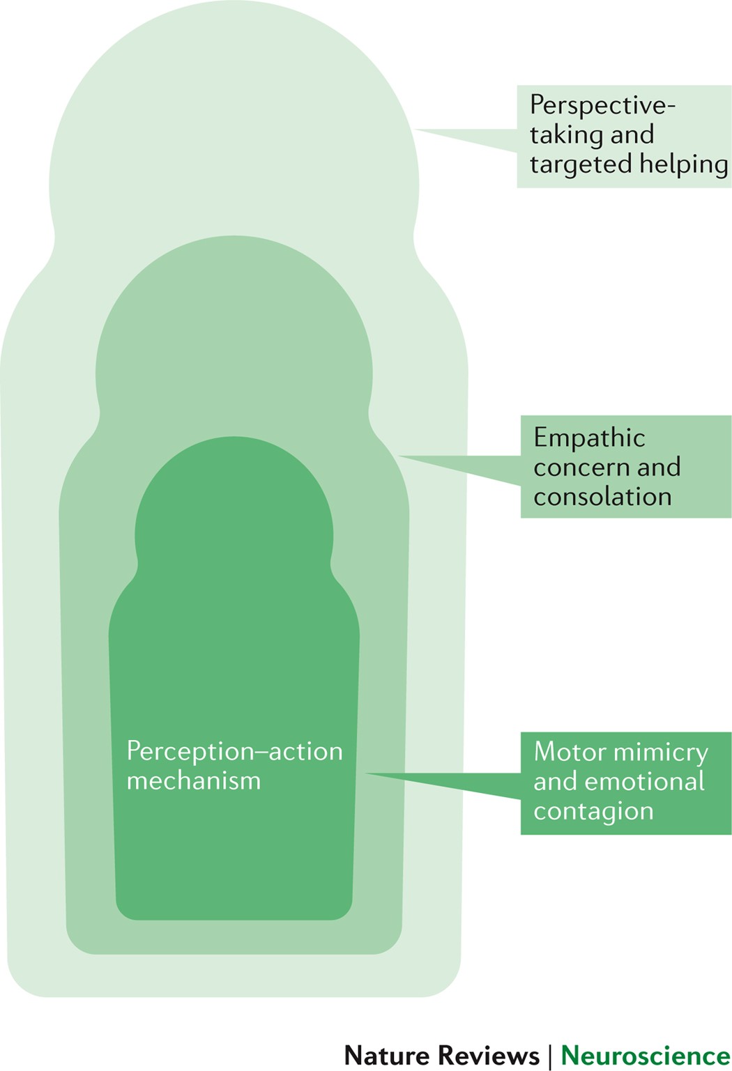 Mammalian empathy: behavioural manifestations and neural basis | Nature  Reviews Neuroscience