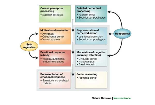 Home Page: Biological Psychiatry: Cognitive Neuroscience and