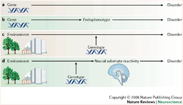 Gene Environment Interaction >> Gene Environment Interactions In Psychiatry Joining Forces With Gene Environment Interaction >> Gene Environment Interactions In Psychiatry Joining Forces With