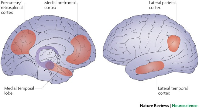 A neural signature of the vividness of prospective thought is modulated by  temporal proximity during intertemporal decision making