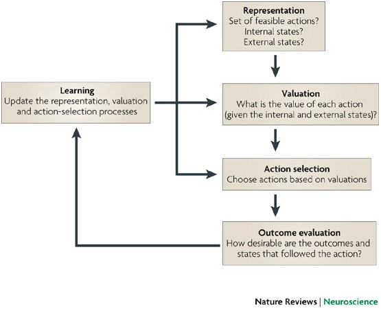 https://media.springernature.com/full/springer-static/image/art%3A10.1038%2Fnrn2357/MediaObjects/41583_2008_Article_BFnrn2357_Fig1_HTML.jpg