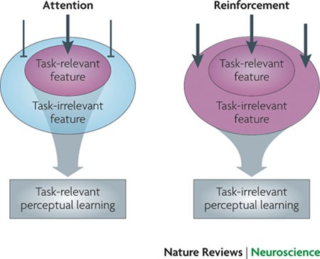 Promotion of Visual Perceptual Development through Therapeutic Art Education