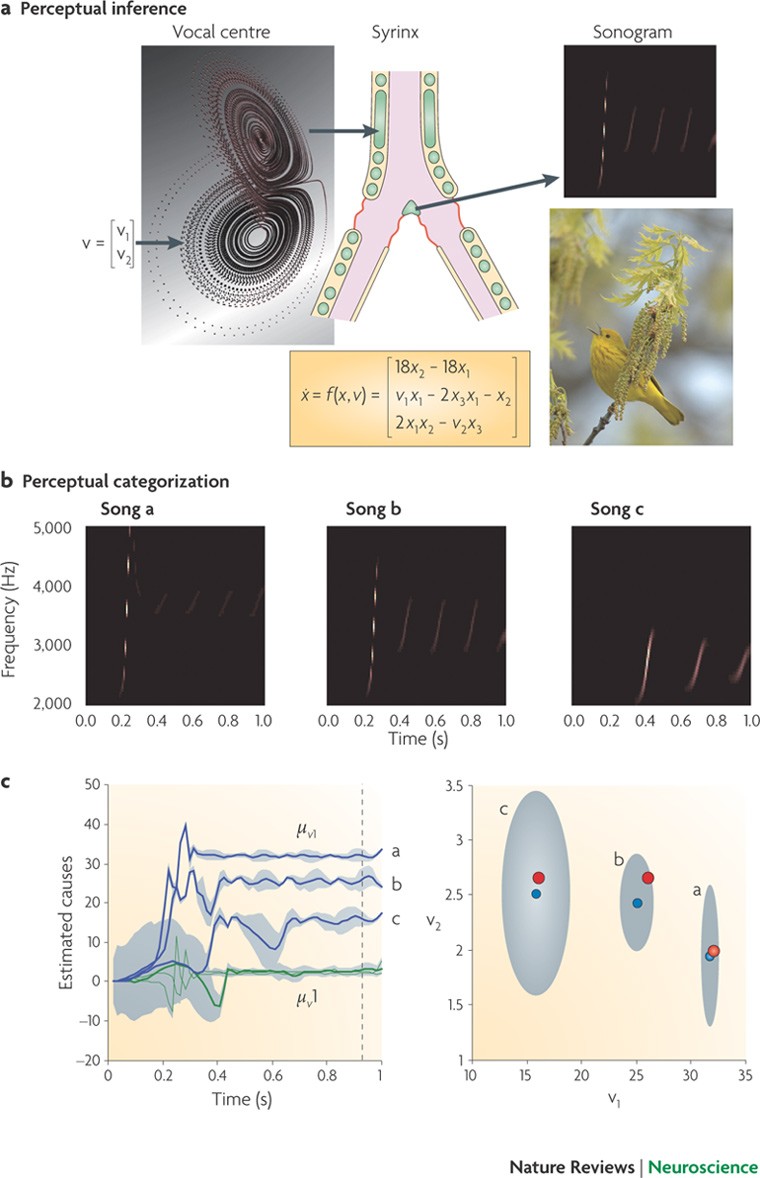 https://media.springernature.com/full/springer-static/image/art%3A10.1038%2Fnrn2787/MediaObjects/41583_2010_Article_BFnrn2787_Fig1_HTML.jpg