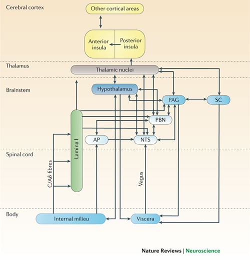 Antonio Damasio【Neuroscience】Thinking Heads