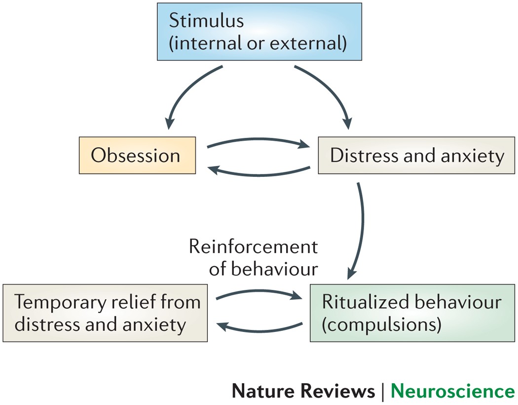 Obsessive–compulsive disorder: an integrative genetic and 