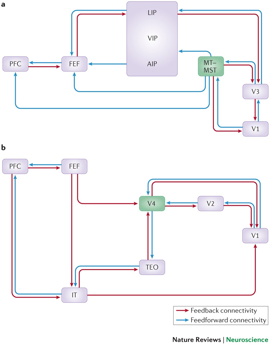 The attentive brain: insights from developmental cognitive neuroscience |  Nature Reviews Neuroscience