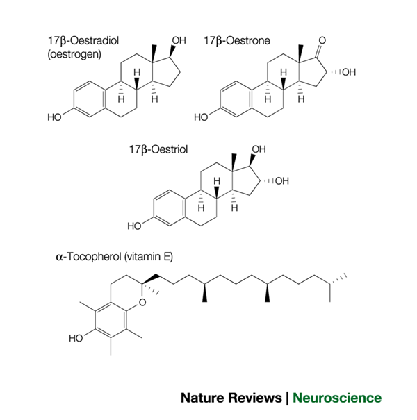 NuvaRing (etonogestrel / ethinyl estradiol): Uses, Side Effects, Dosage &  Reviews