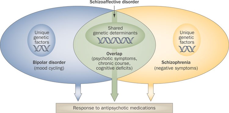 Are Schizophrenia & Bipolar Related?