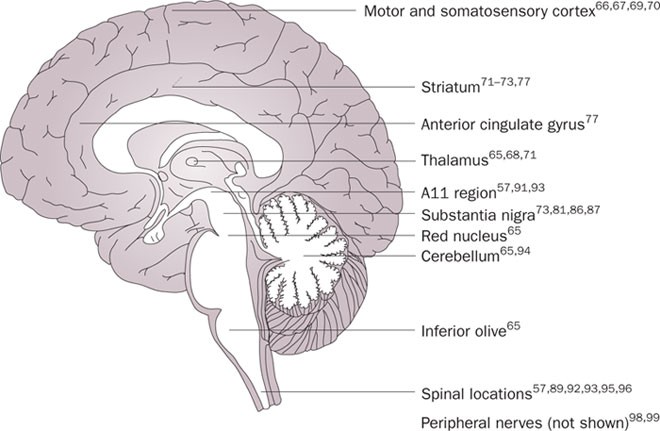 Restless legs syndrome: pathophysiology, clinical presentation and  management | Nature Reviews Neurology