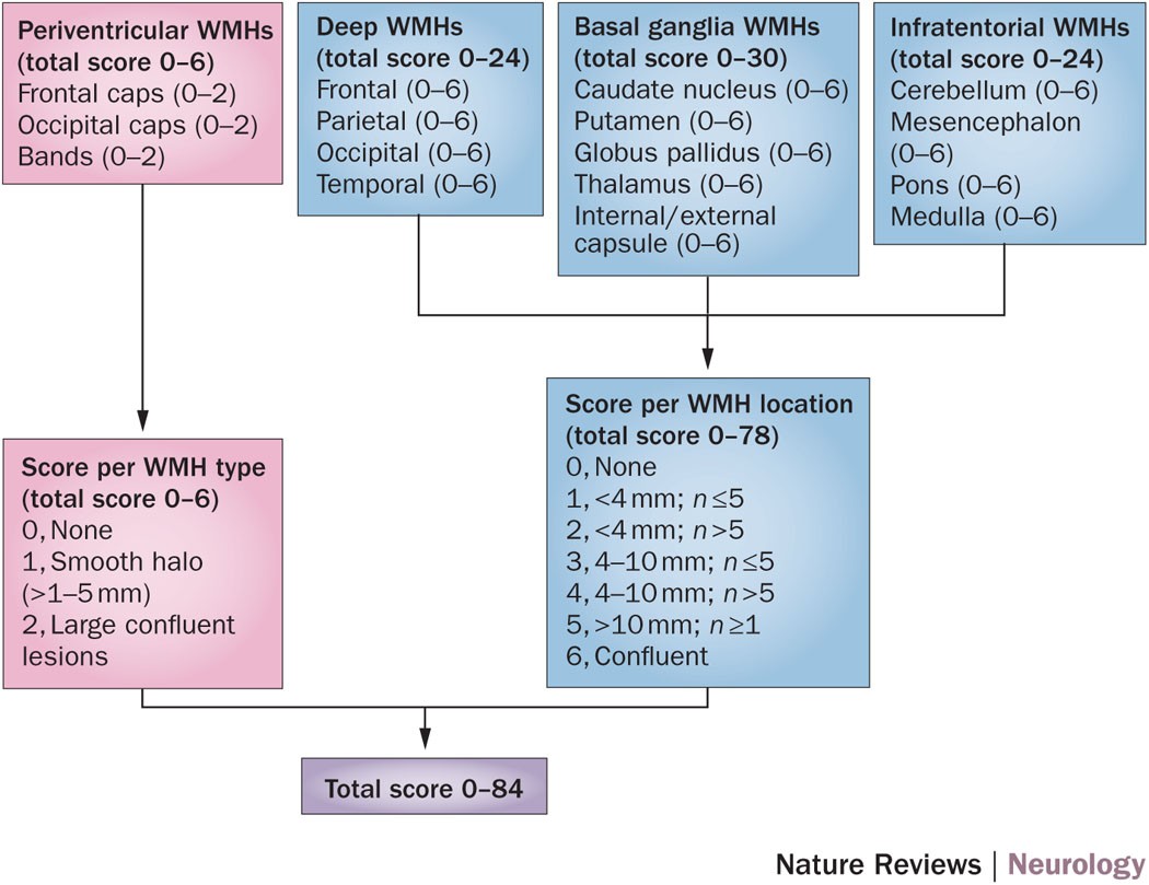 White Matter Hyperintensities Cognitive Impairment And