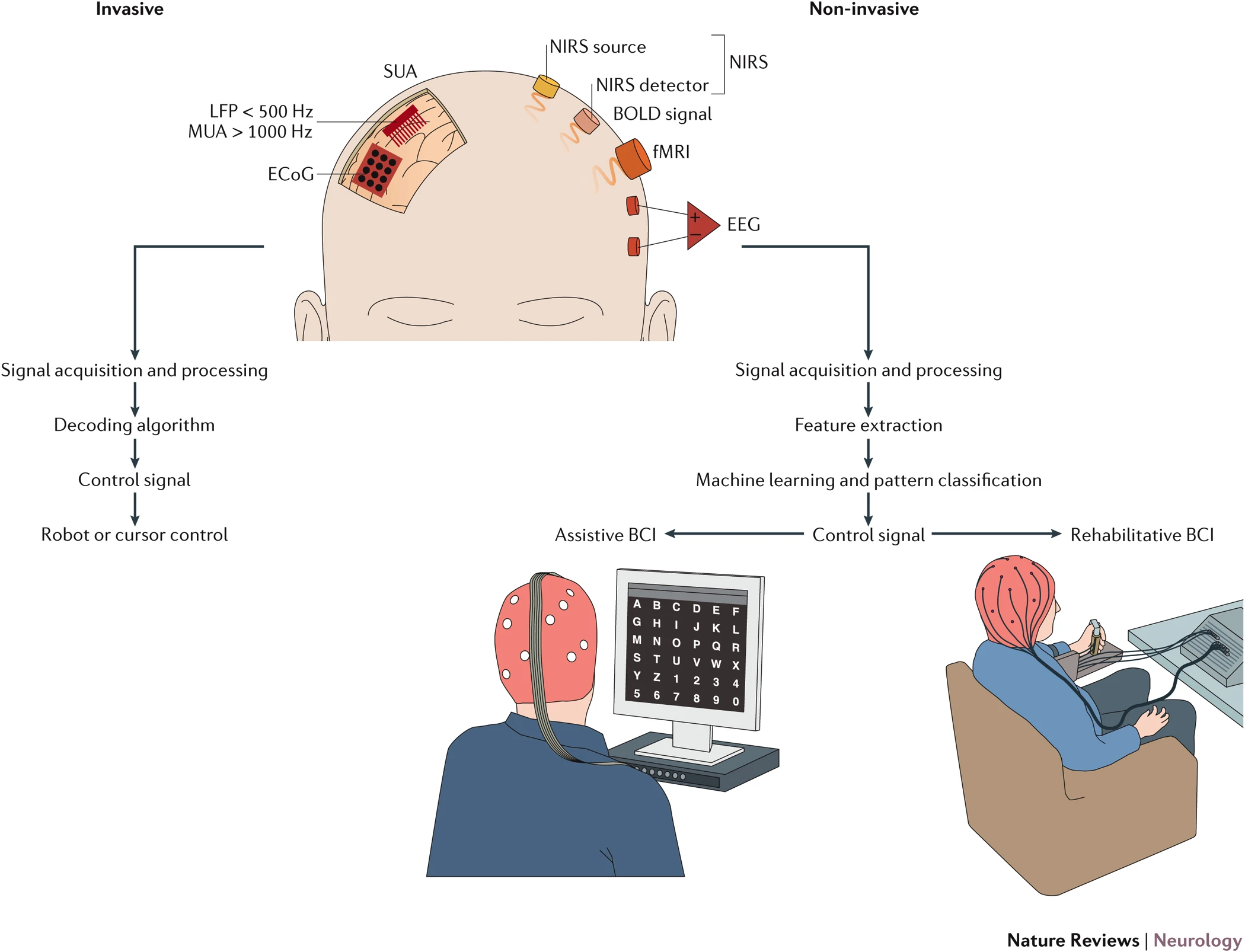 إطارٌ عامٌّ يوضّح كيفيّة عمل «واجهة الدّماغ والحاسوب (Brain-Computer Interface - BCI)»