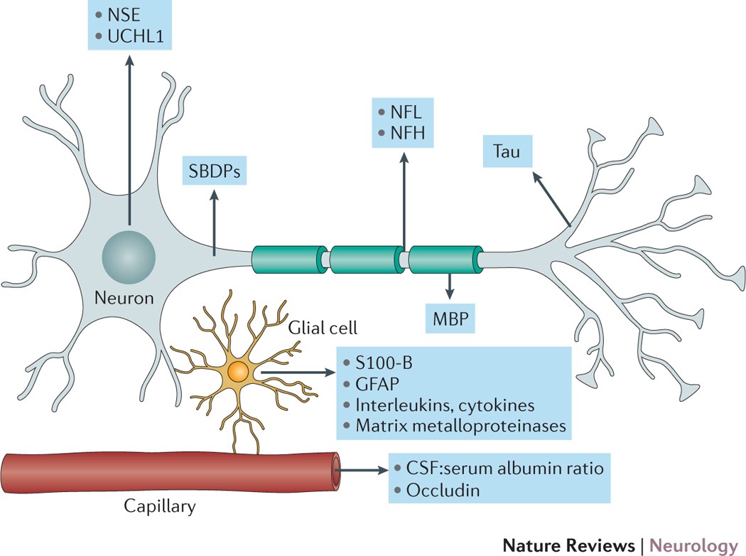 Bipolar Iron-on patch — Neuro Blooms