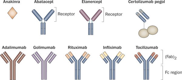 Unresolved issues in biologic therapy for rheumatoid arthritis | Nature  Reviews Rheumatology