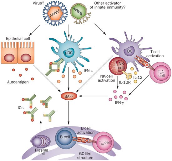 what is glutathione used for in ecoli Glutathione and Polyamines in Bacteria