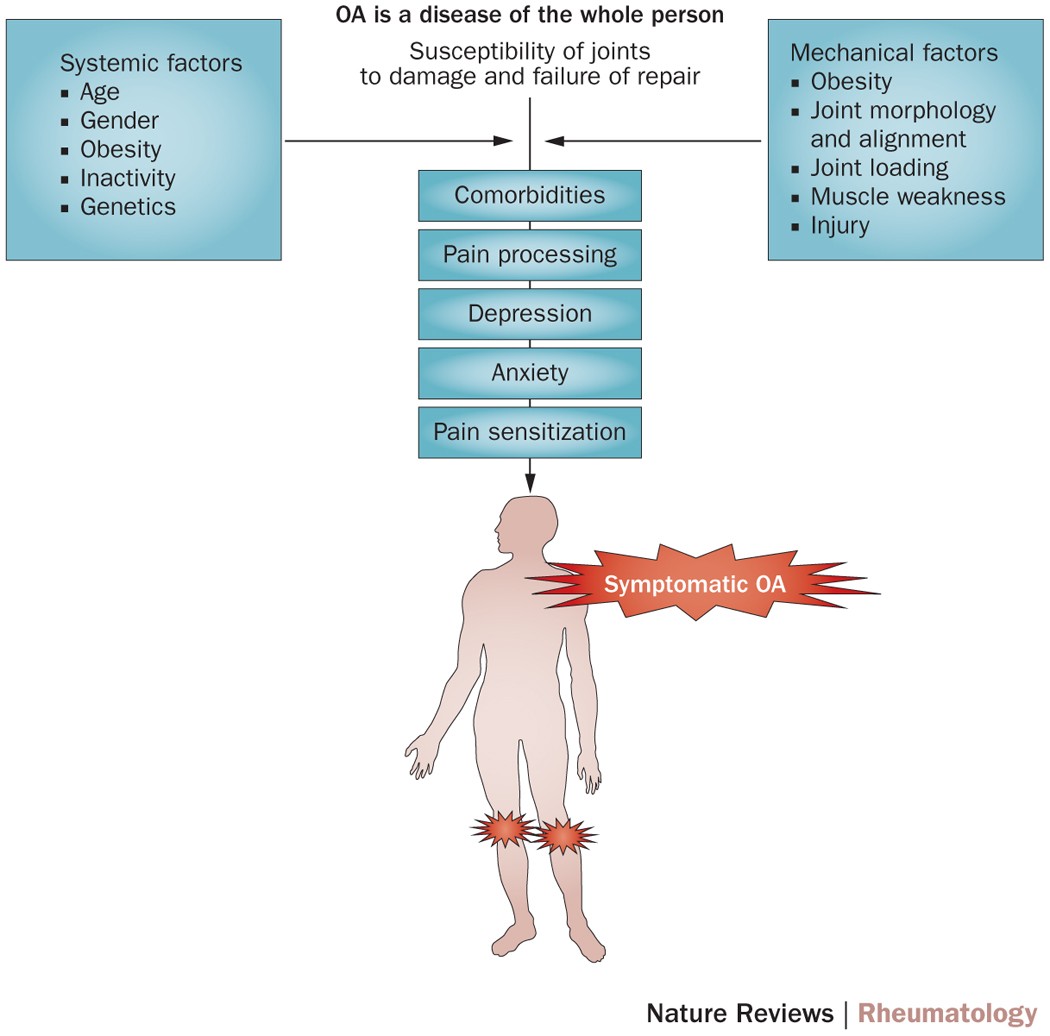 Injury Prevention and Body Mechanics - Physiopedia