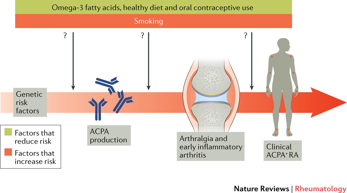 Protective Dietary And Hormonal Factors Brought To Light Nature Reviews Rheumatology