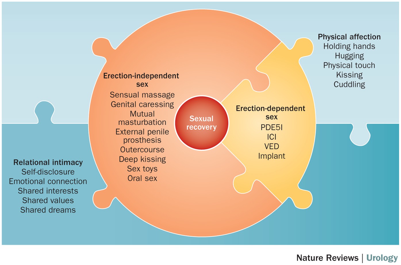 Psychosocial perspectives on sexual recovery after prostate cancer treatment Nature Reviews Urology pic