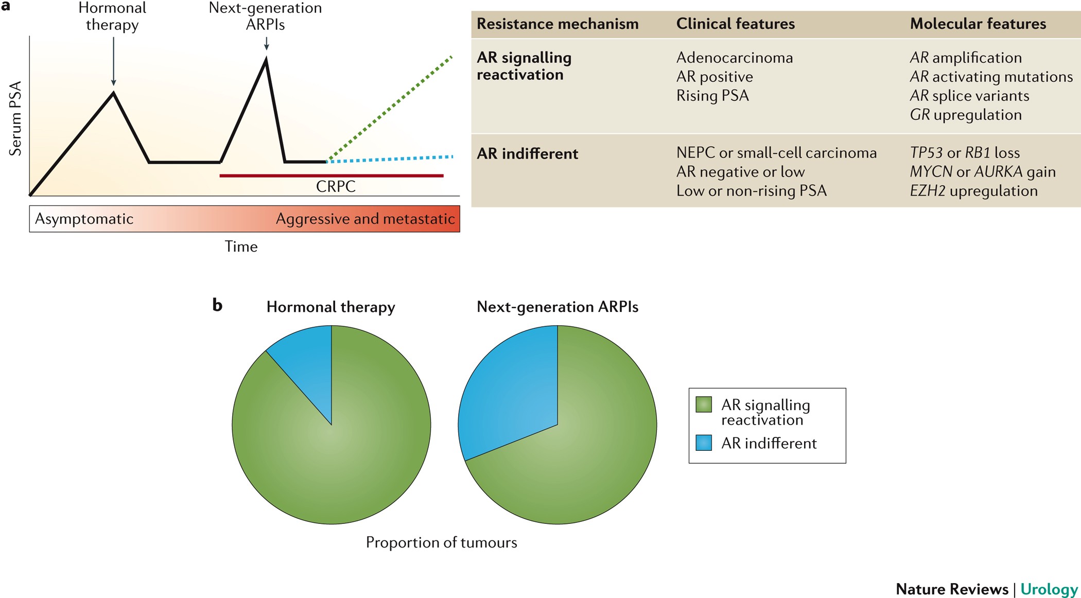 Cellular Plasticity And The Neuroendocrine Phenotype In Prostate Cancer Nature Reviews Urology