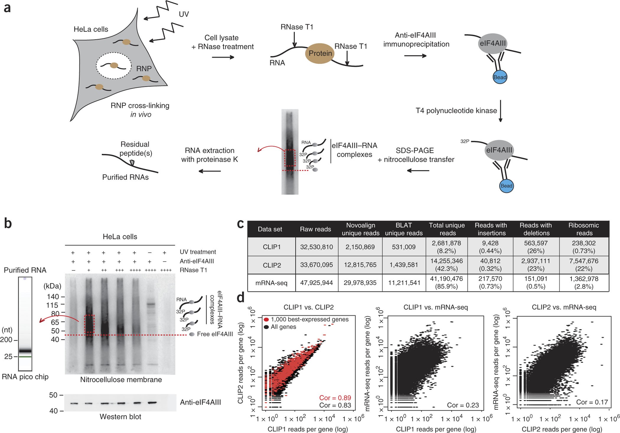 CLIP-seq of eIF4AIII reveals transcriptome-wide mapping of the human exon  junction complex | Nature Structural & Molecular Biology