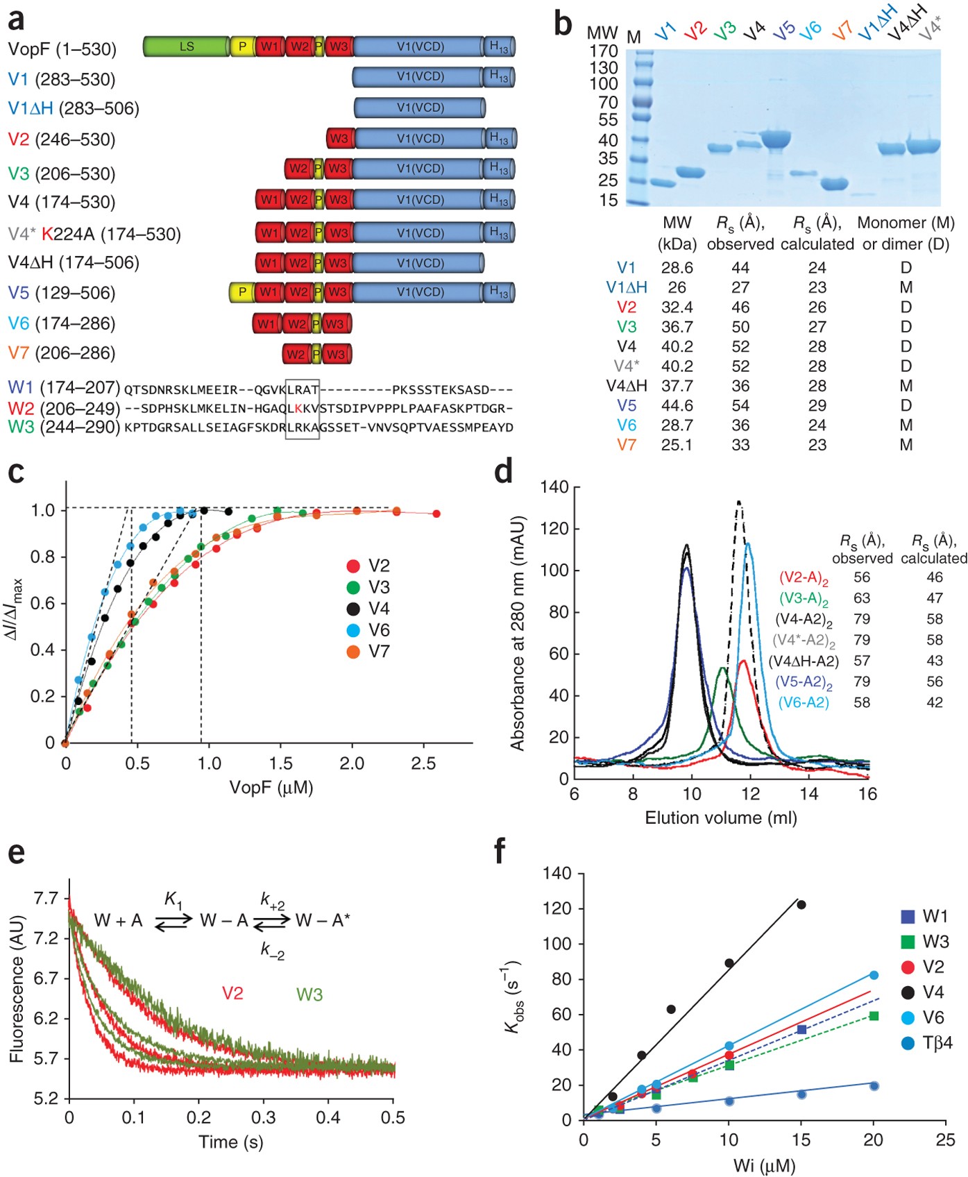 Dimeric WH2 domains in Vibrio VopF promote actin filament barbed-end  uncapping and assisted elongation | Nature Structural & Molecular Biology