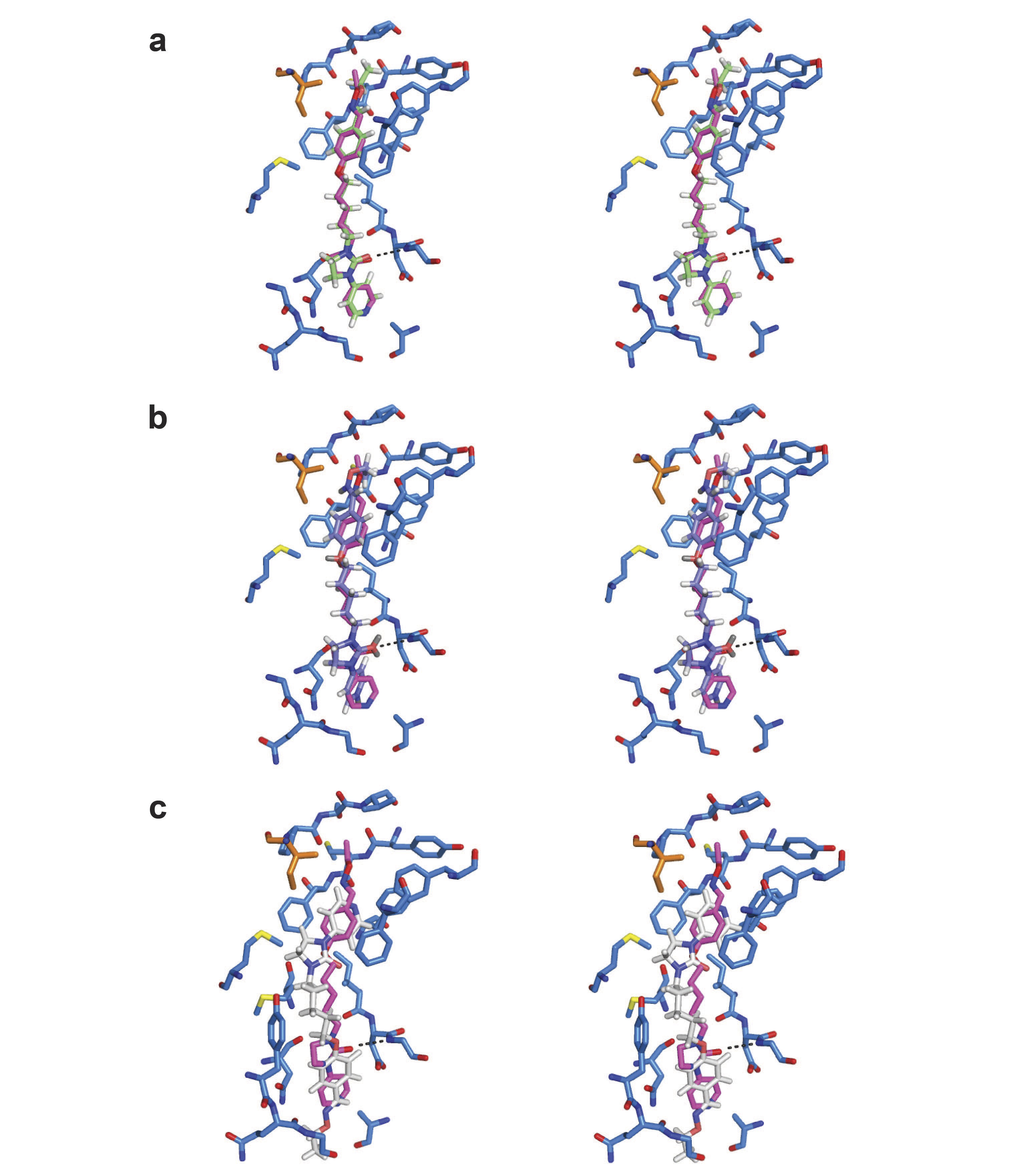 Supplementary Figure 3
