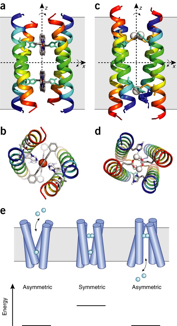 The three-dimensional structure of a protein.-helices are colored