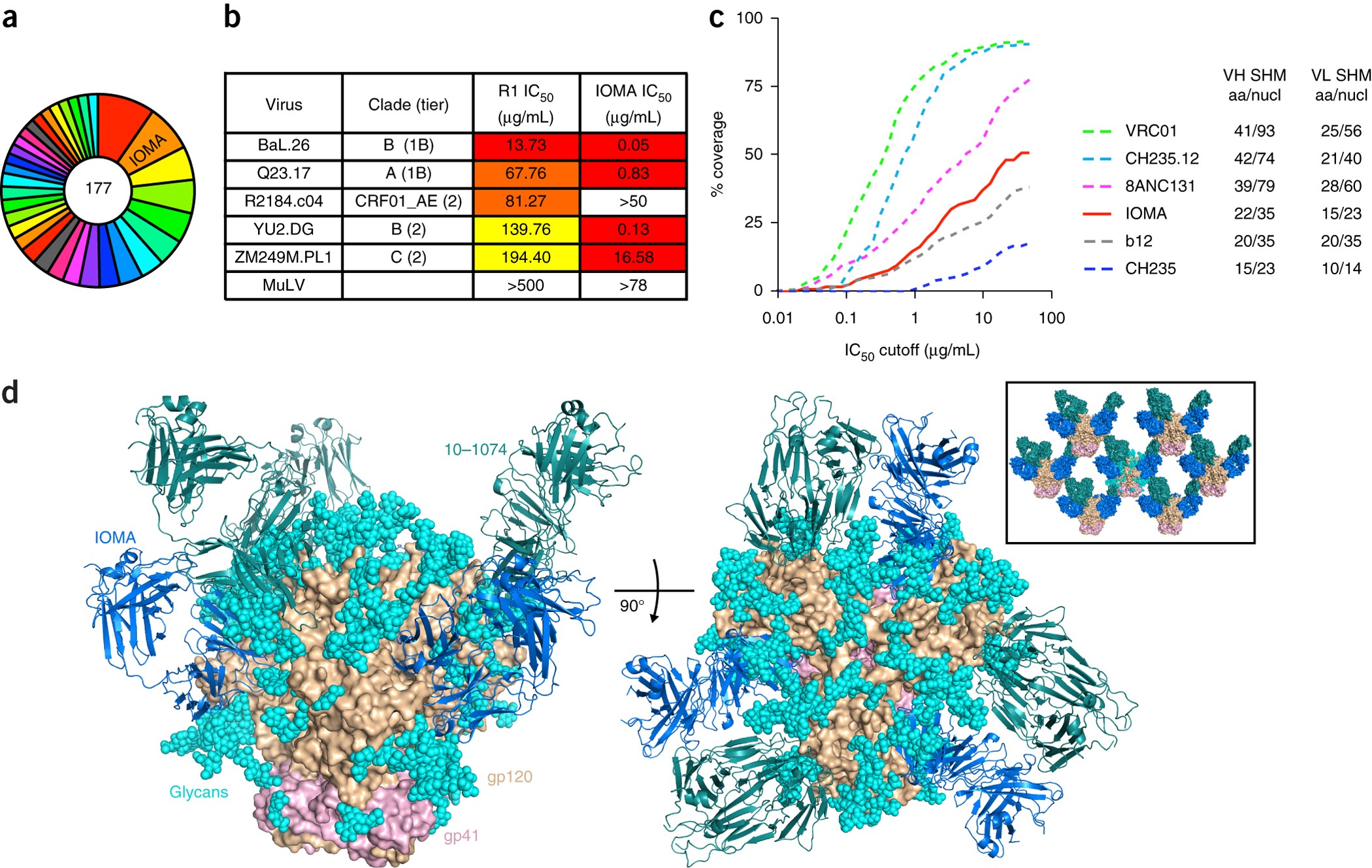 Natively glycosylated HIV-1 Env structure reveals new mode for antibody  recognition of the CD4-binding site | Nature Structural & Molecular Biology