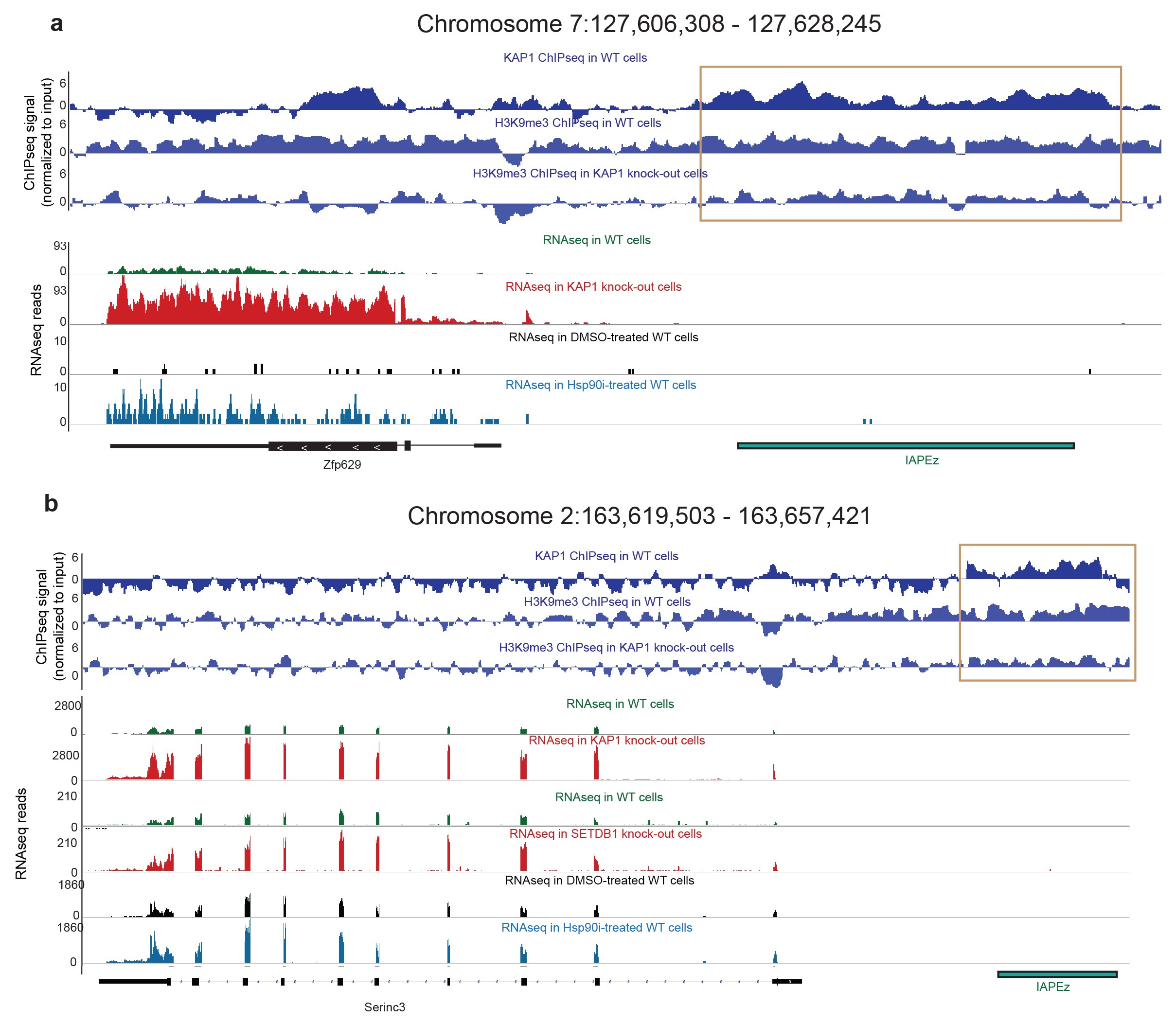 Supplementary Figure 5