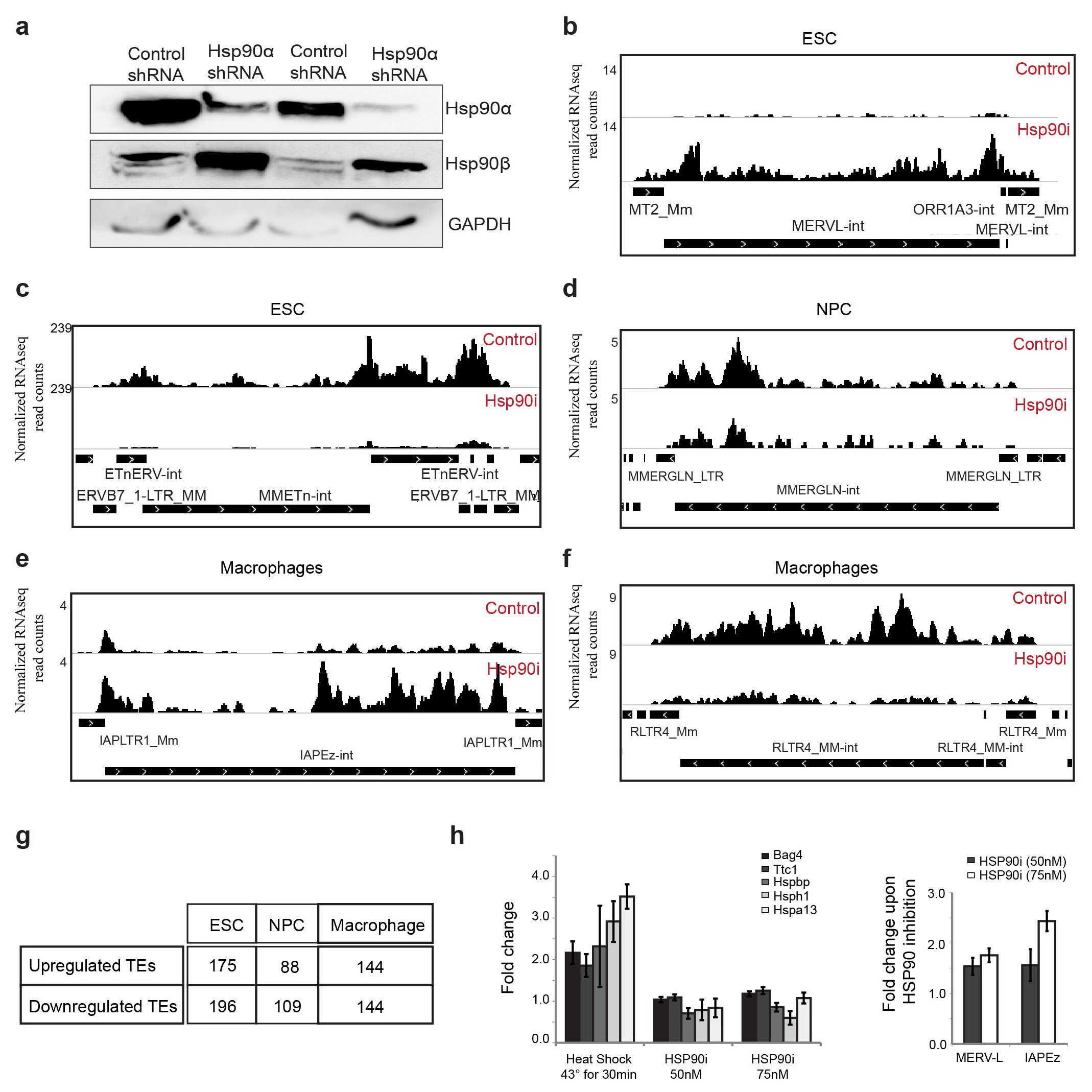 Supplementary Figure 1