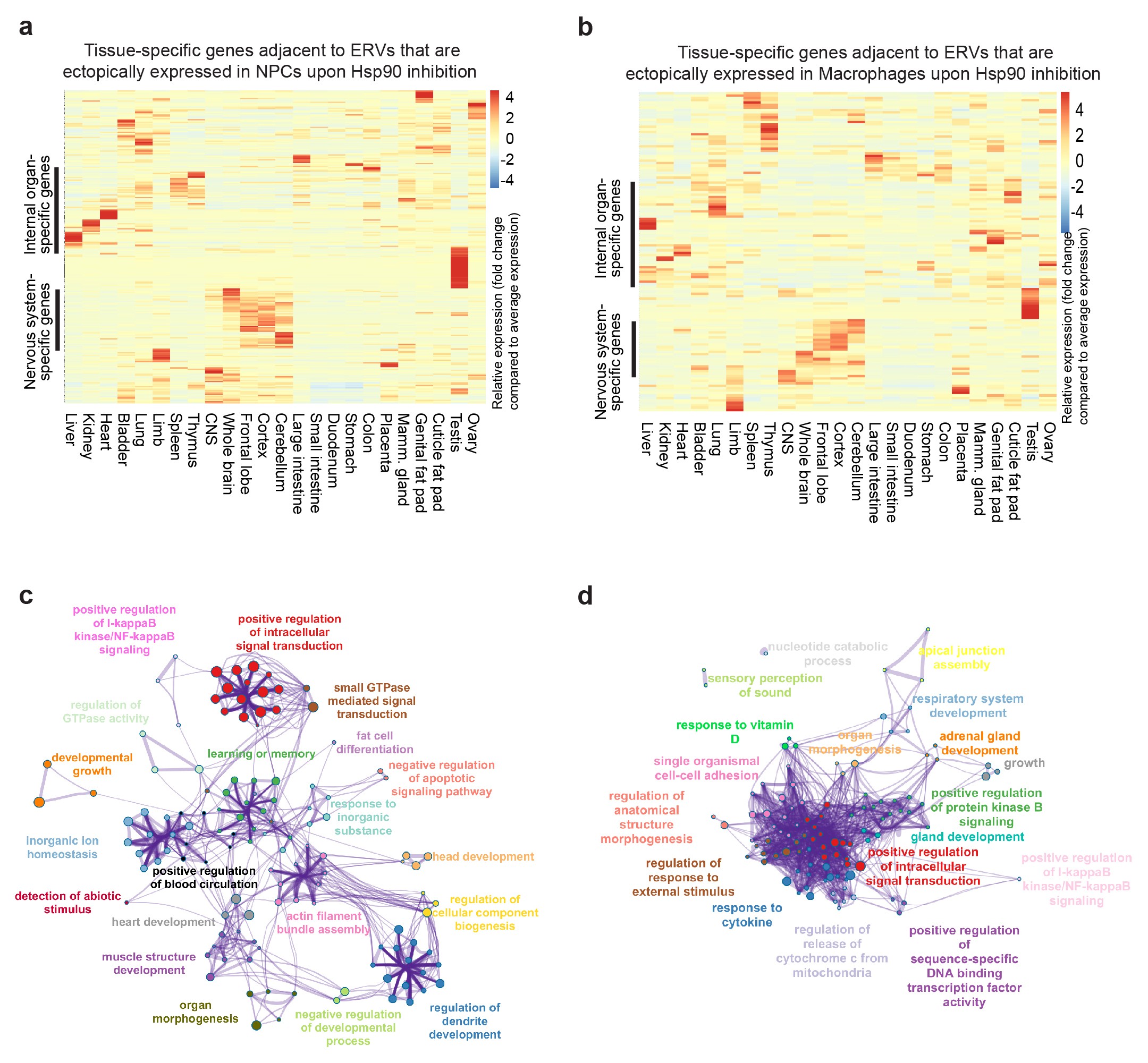 Supplementary Figure 3