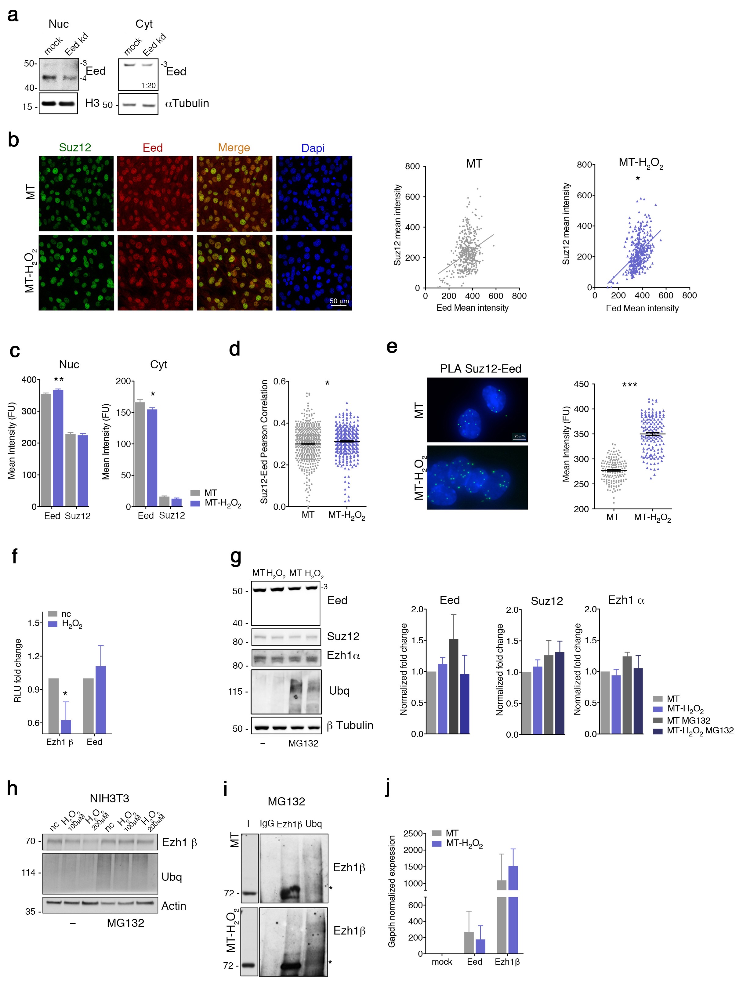 Supplementary Figure 6