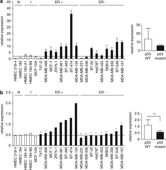 Identification of PUMA as an estrogen target gene that mediates the  apoptotic response to tamoxifen in human breast cancer cells and predicts  patient outcome and tamoxifen responsiveness in breast cancer | Oncogene