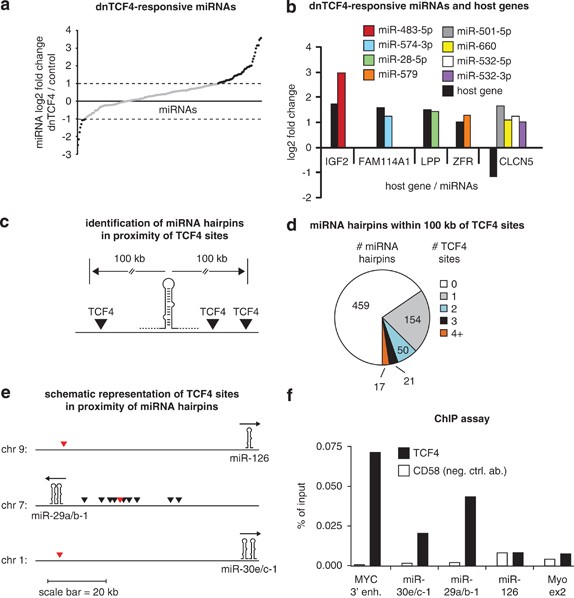 Attenuation of the beta-catenin/TCF4 complex in cancer cells induces several growth-suppressive microRNAs cancer promoting genes |