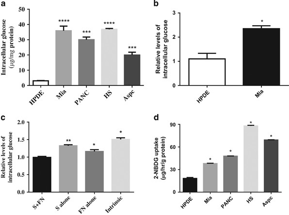 Focal Adhesion Kinase Promoted Tumor Glucose Metabolism Is Associated With A Shift Of Mitochondrial Respiration To Glycolysis Oncogene