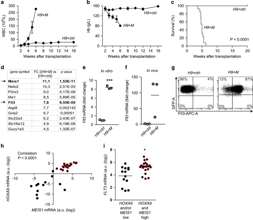 Upregulation of Flt3 is a passive event in Hoxa9/Meis1-induced acute  myeloid leukemia in mice | Oncogene