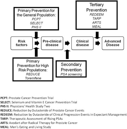 prostate cancer prevention trial (pcpt)