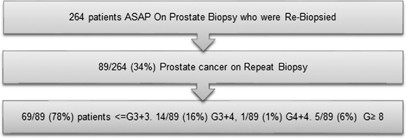 Evaluation of prostate biopsies performed at Bajcsy-Zsilinszky Hospital, Hungary