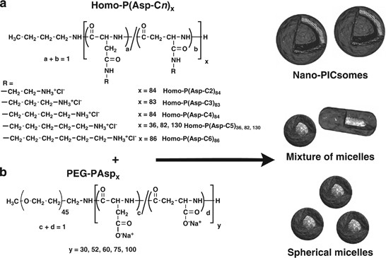 Structural Factors Directing Nanosized Polyion Complex Vesicles Nano Picsomes To Form A Pair Of Block Aniomer Homo Catiomers Studies On The Aniomer Segment Length And The Catiomer Side Chain Structure Polymer Journal