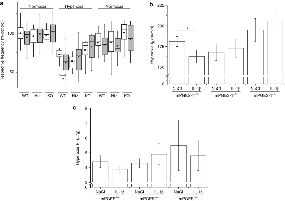 mPGES-1 and prostaglandin E2 vital role in inflammation, hypoxic response, and survival Pediatric Research picture