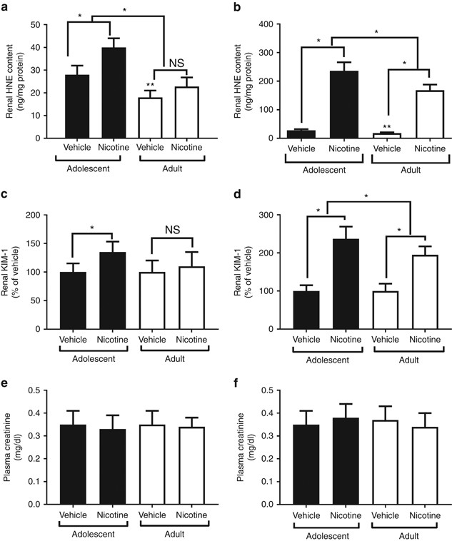smokeless tobacco and kidneys Age-dependent sensitivity of the mouse kidney to chronic nicotine exposure