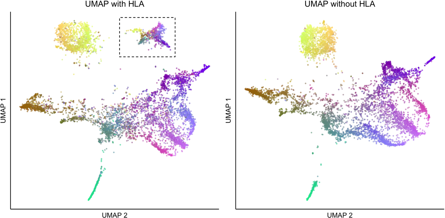 Items and descriptive statistics of the SMWEB-s meaningful dimensions