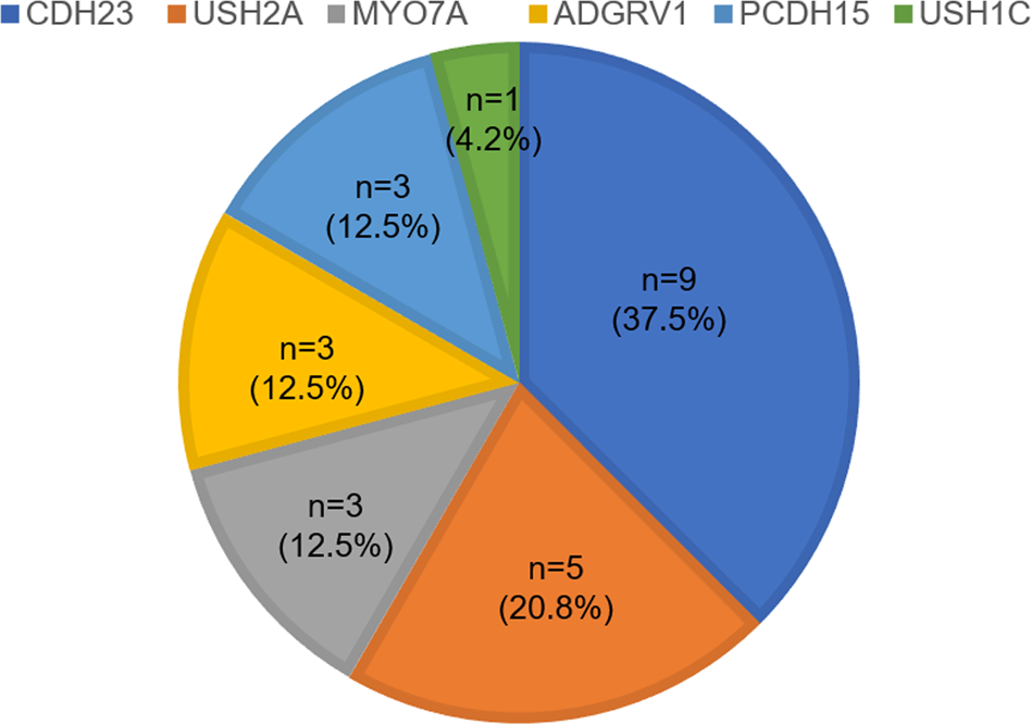 Frequency of Usher gene mutations in non-syndromic hearing loss: higher  variability of the Usher phenotype | Journal of Human Genetics